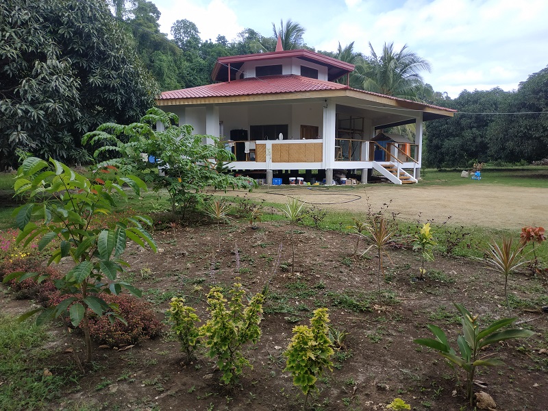 For Sale! Island Garden City Of Samal, Overlooking Fruit Garden Lot 