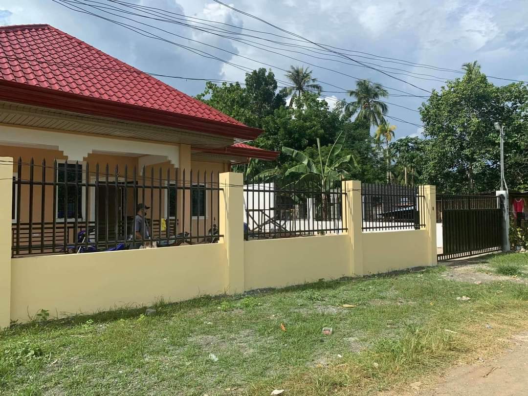 Brand New House And Lot For Sale In Mambago- B, Babak, Samal Island