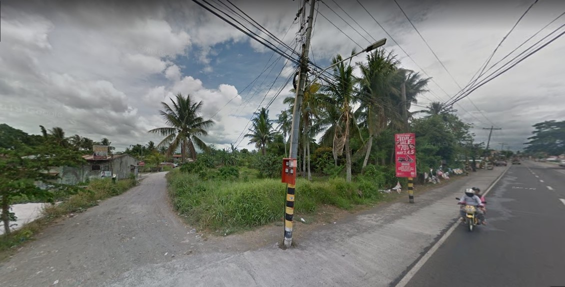 11,409 sqm at Baras Canaman Camarines Sur(Along the Highway)