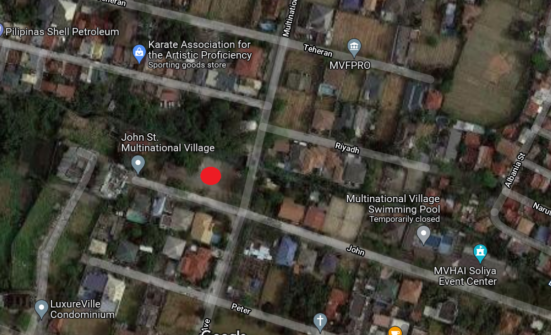 Multinational Village 700 Sq Meters Lot For Sale In Moonwalk Para Aque   6564097306c8f5 