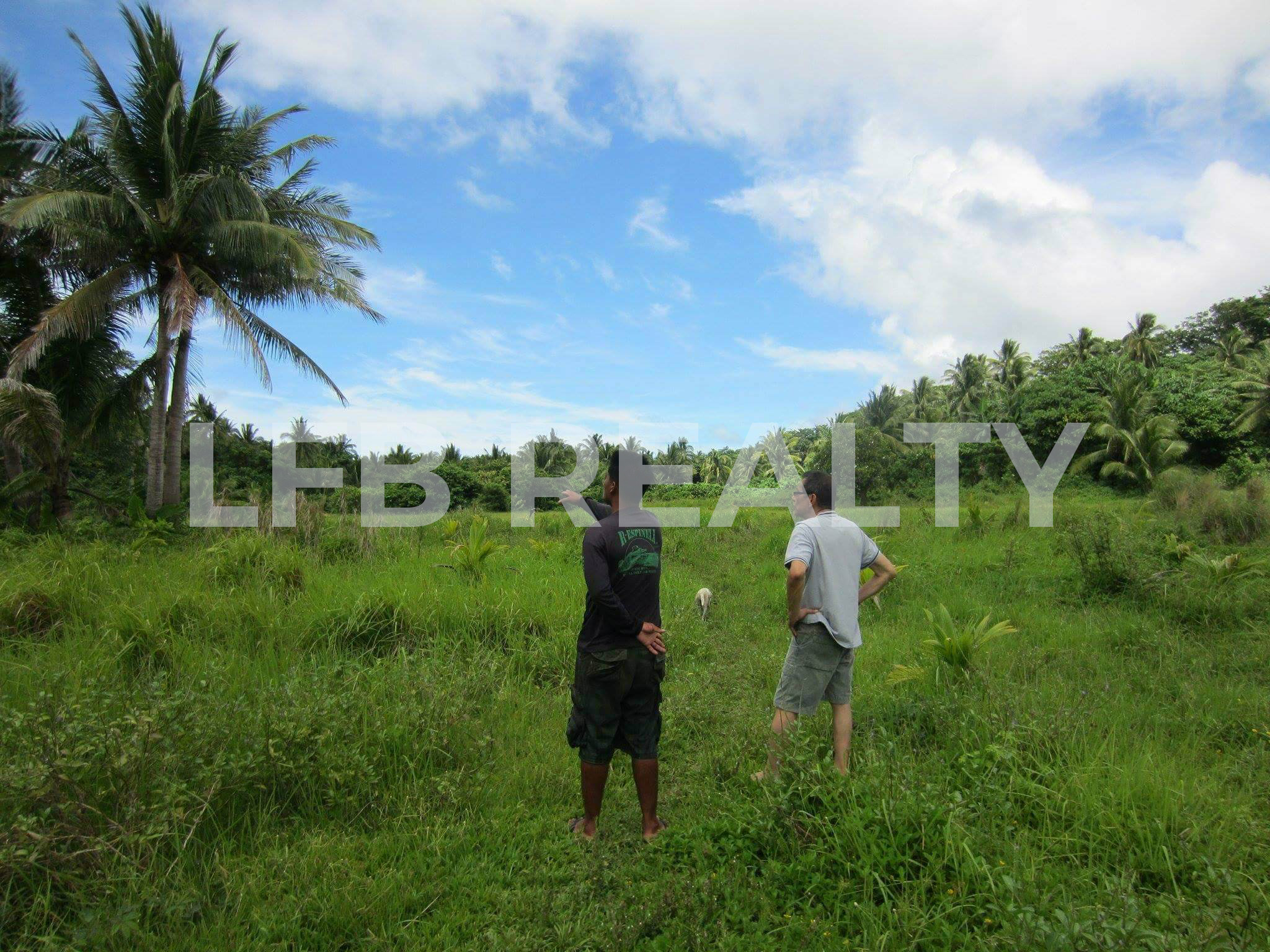 For Sale: Beach Lot in Dapdap Island, Quezon Province in Patnanungan Sur