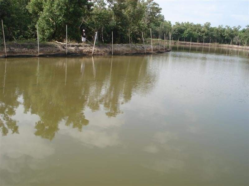 For sale: 17 hectares operational fish pond in Quezon Province