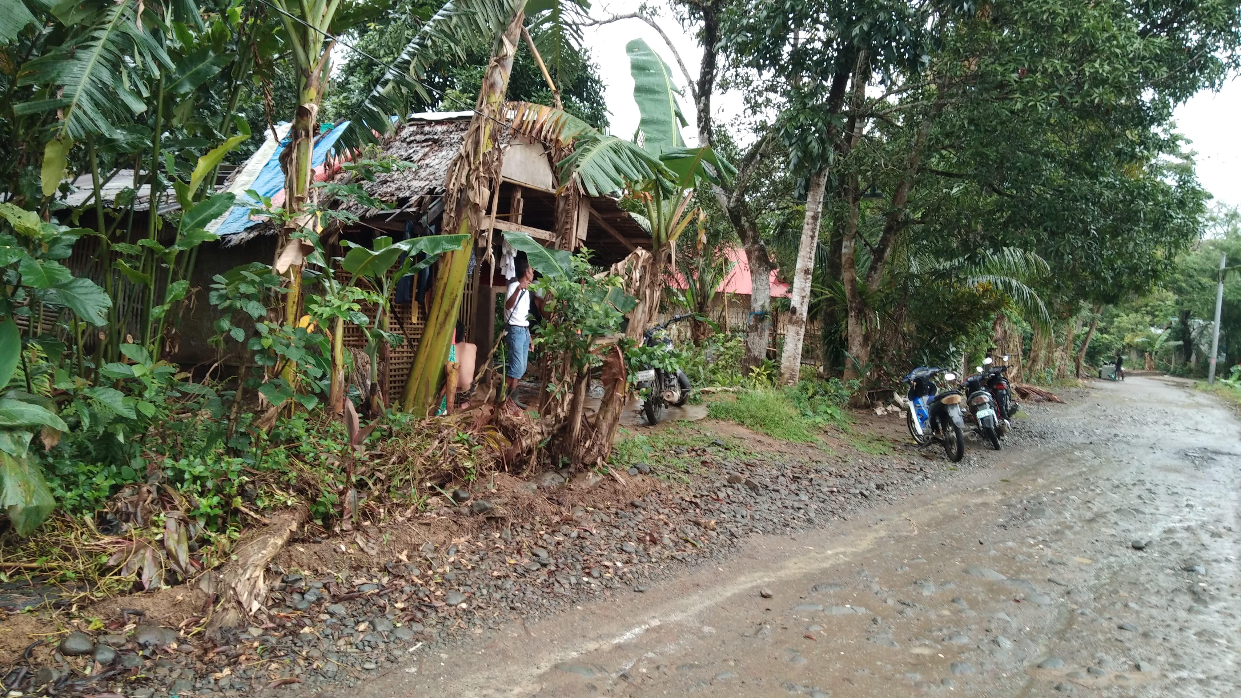 16.6 Hectares Lot for Sale in Brgy. Agos-Agos Infanta Quezon Province - DIG