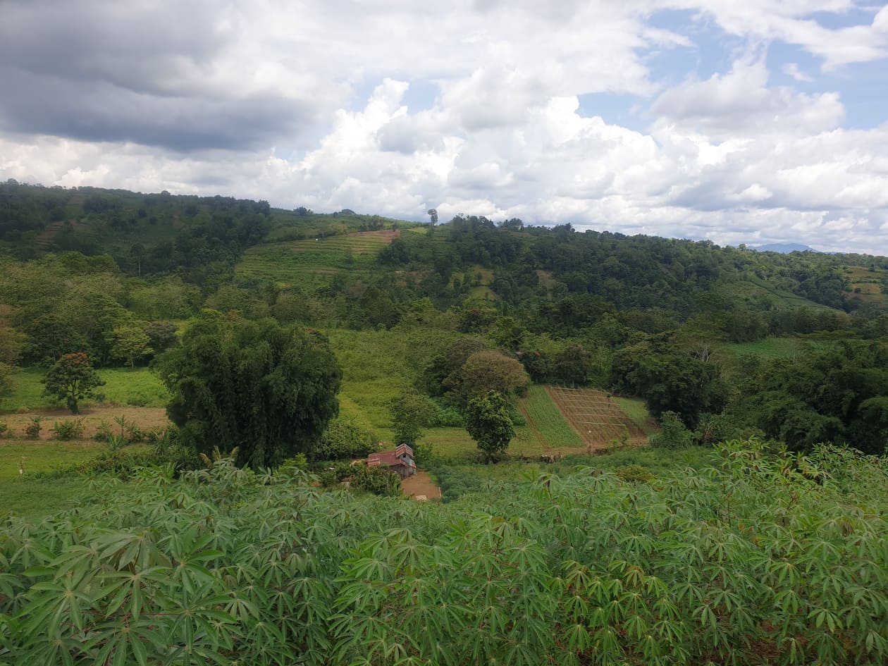 For Sale 7 Hectares Lot in Barangay Pongol, Libona, Bukidnon