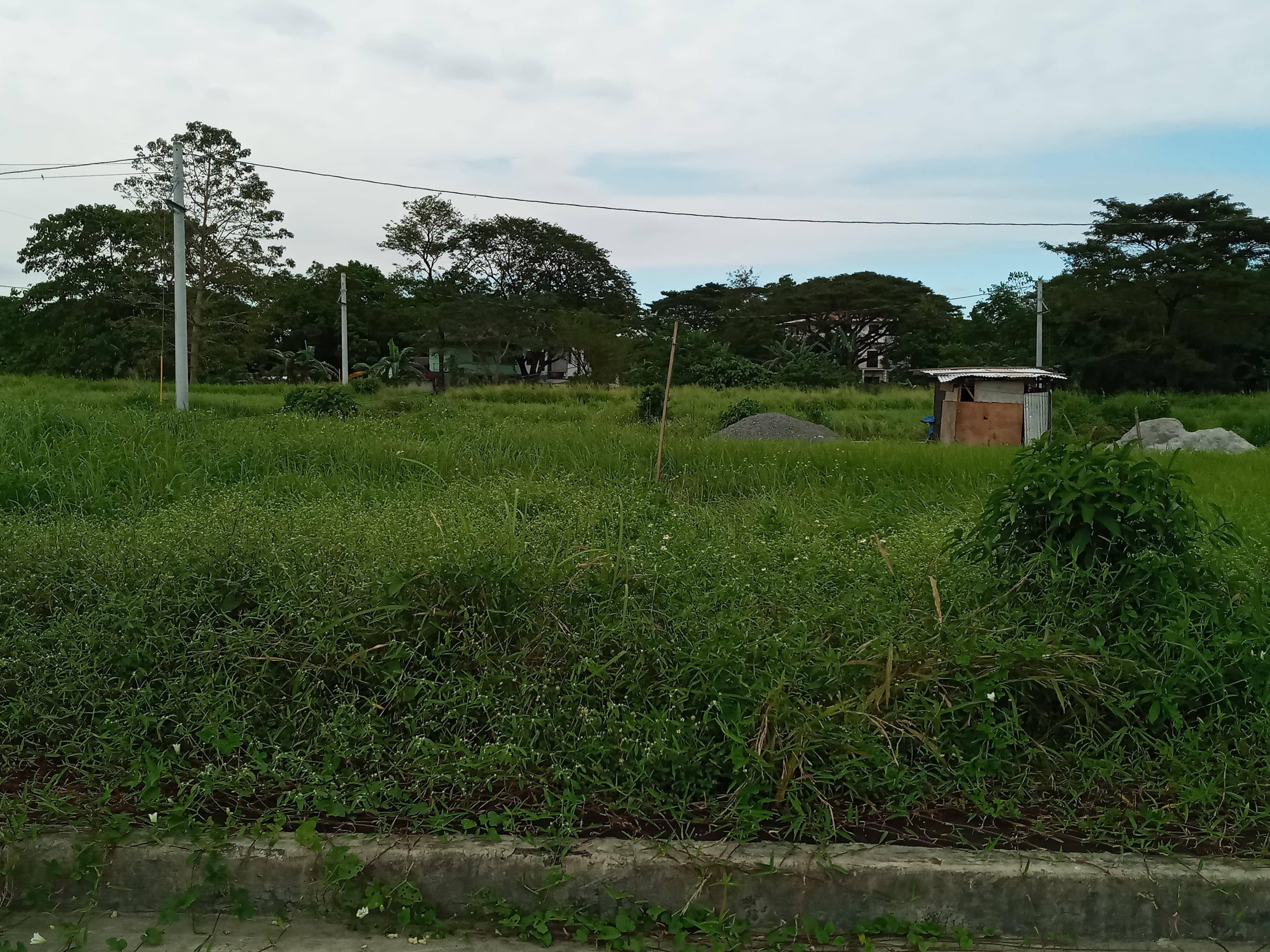 150 sqm Lot for sale at Valley View Executive Village, Muntingdilaw ...