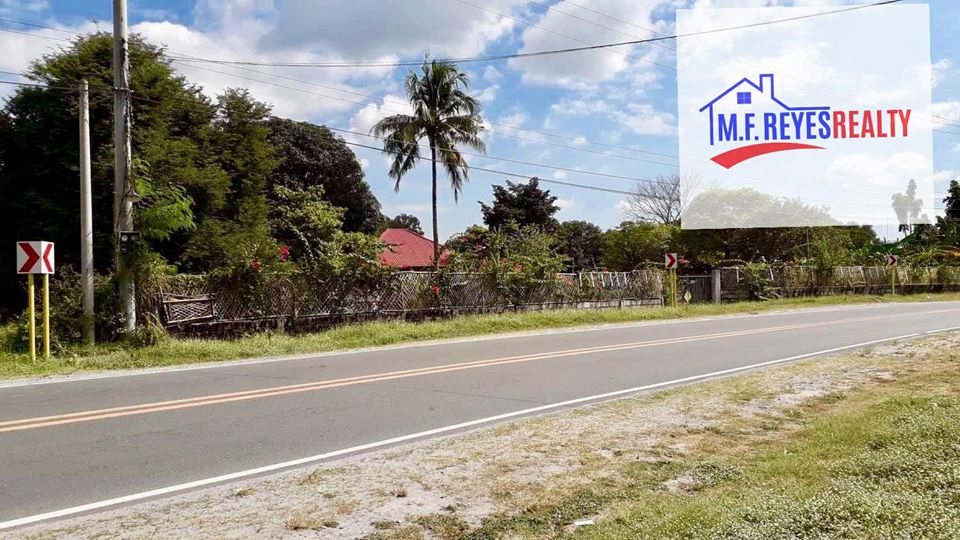 Farm Lot for Sale in Florida Blanca, Pampanga! in Del Carmen, Floridablanca