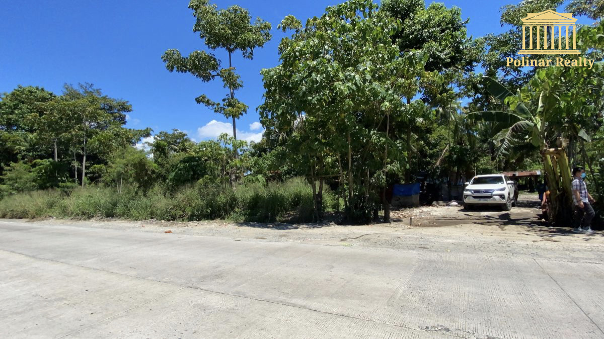 For Sale 2 Hectares Agricultural Land Along Panabo Coastal Road