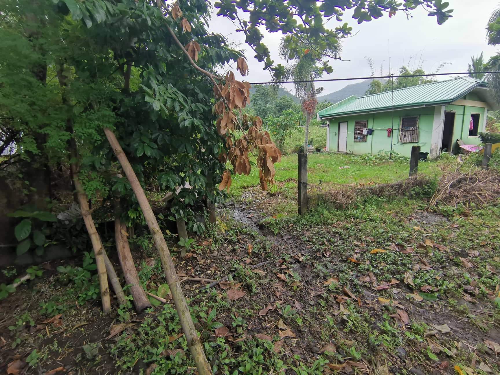 house and lot in barangay wakat, nagcarlan Laguna