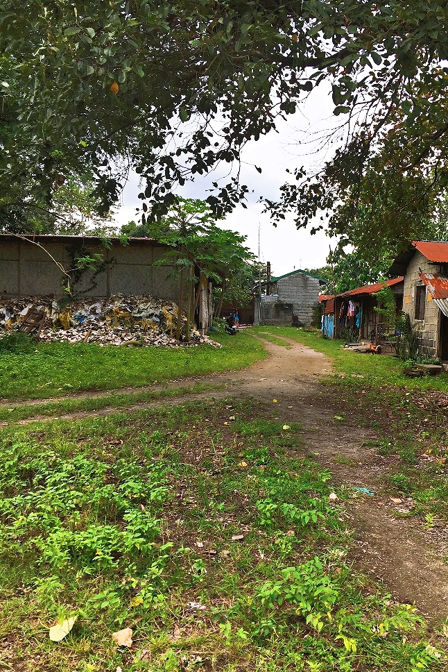 9273sqm Lot for Sale in Pulung Cacutud, Angeles, Pampanga RH19307