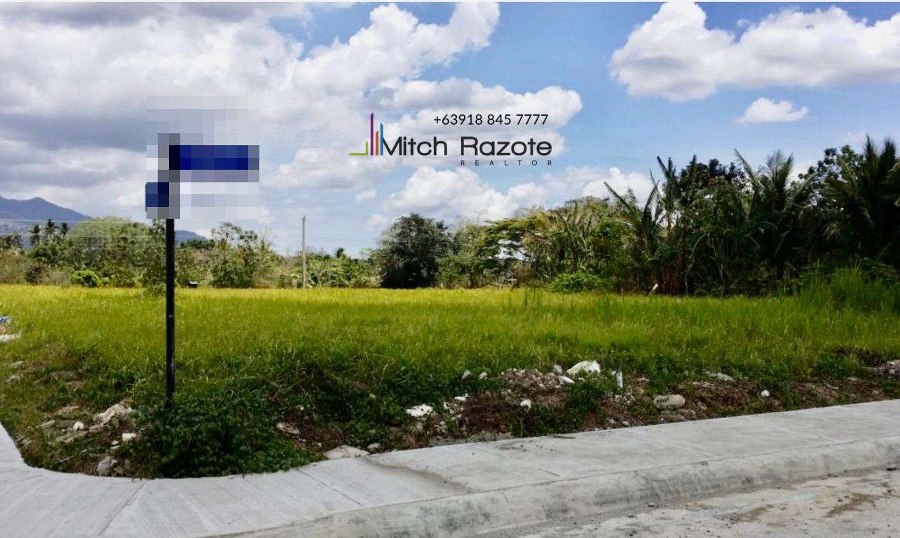 Residential Farm Lot For Sale, Avida Hacienda Sta Monica, Lipa City in ...