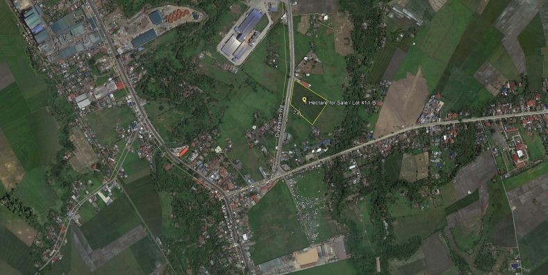 Mixed-use Vacant Lot for Sale in Brgy. Anayan, Pili, Camarines Sur