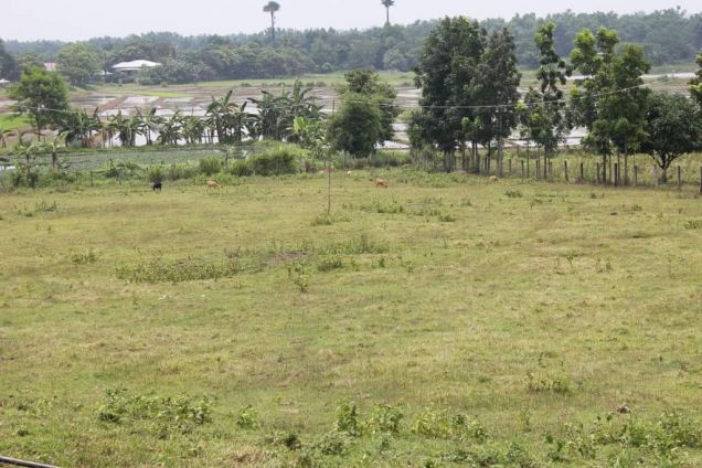 LA: 68,293sqm Lot. Brgy. Lambakin, San Miguel, Bulacan