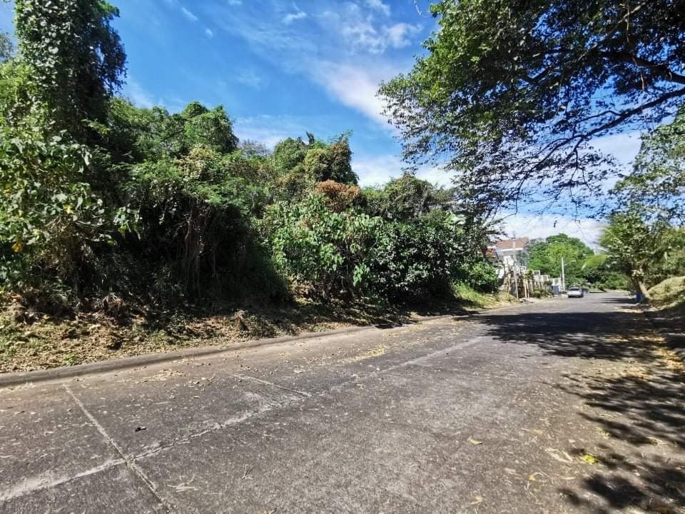 525 SQM Vacant Lot For Sale in Susana Heights Subdivision in Tunasan ...