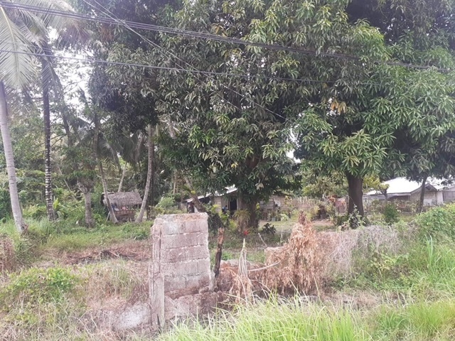 Rush 800 sqm Lot for Sale in Sandoval, Narra, Palawan