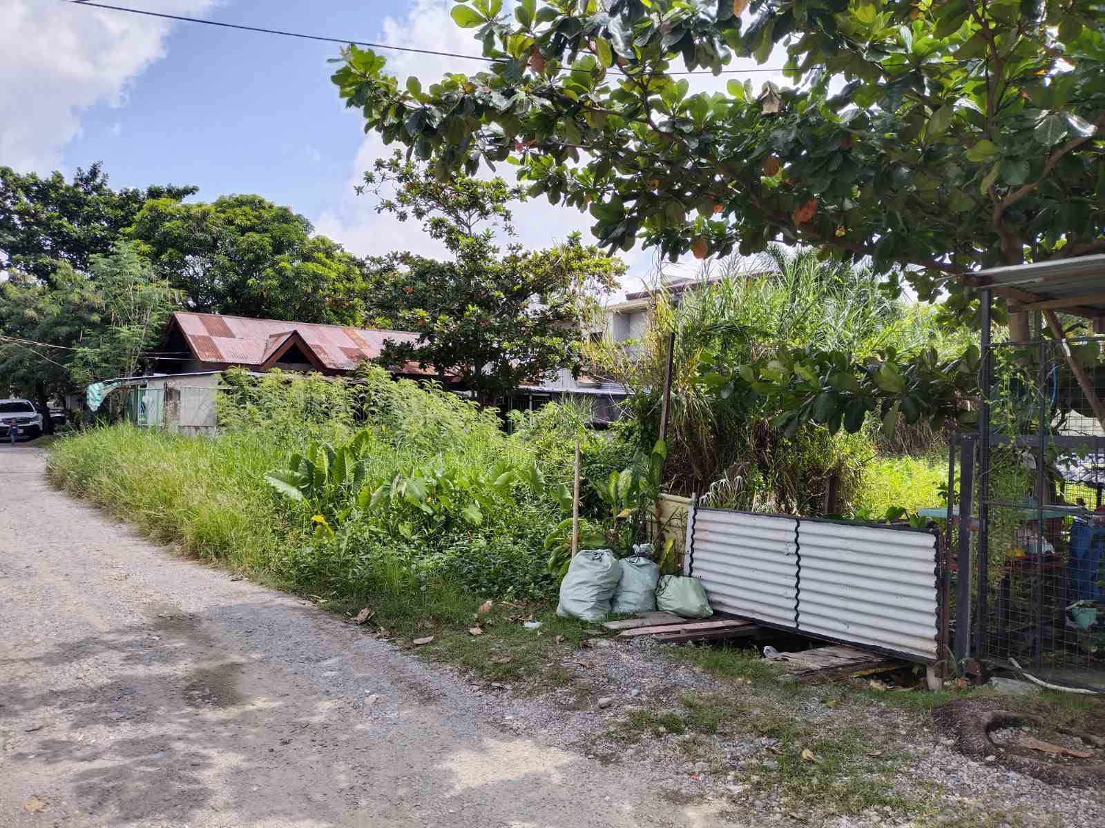 Residential Lot For Sale in Mabini Homesite Cabanatuan, Expandable